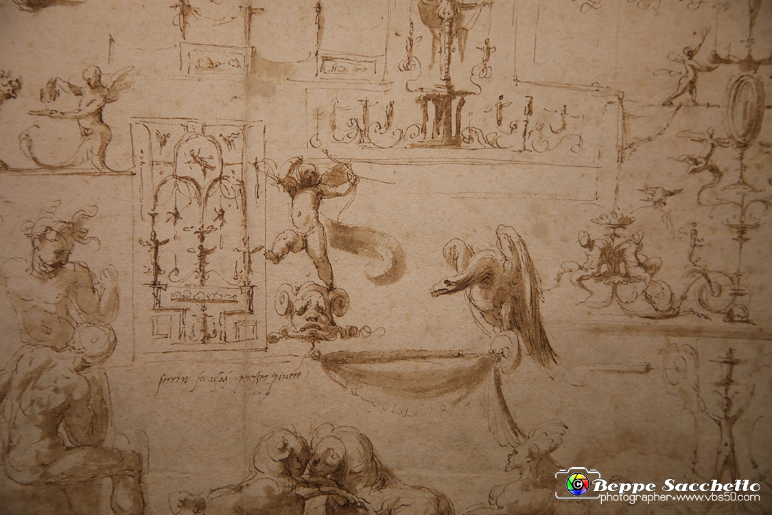 VBS_0028 - Mostra Nel segno di Raffaello.jpg